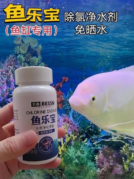 鱼乐宝(用它养鱼要注意些什么)