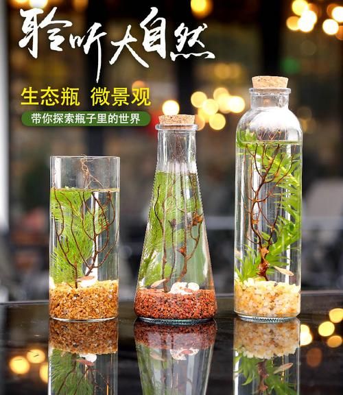 鱼坛(它和鱼缸有什么区别)
