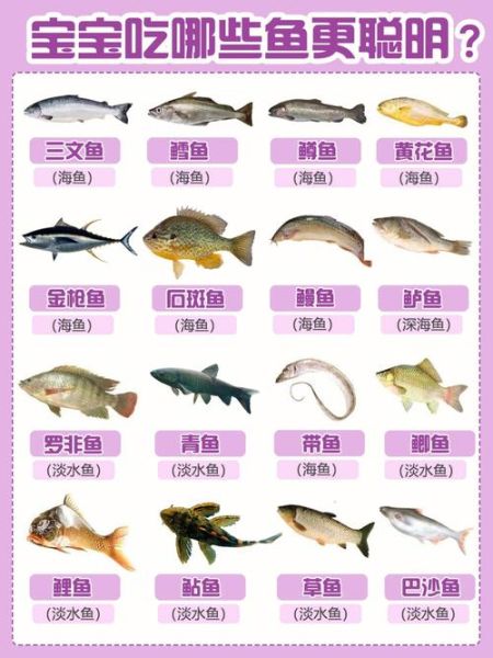 鱼有多少种(你最喜欢吃哪种)