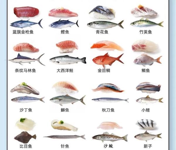 鱼有多少种(你最喜欢吃哪种)
