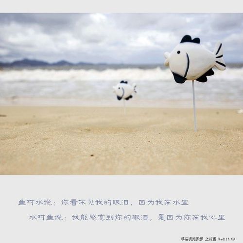 鱼的泪(还是对未来的期盼)