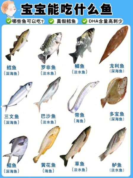 鱼的种类图片(它们的名字你知道吗)