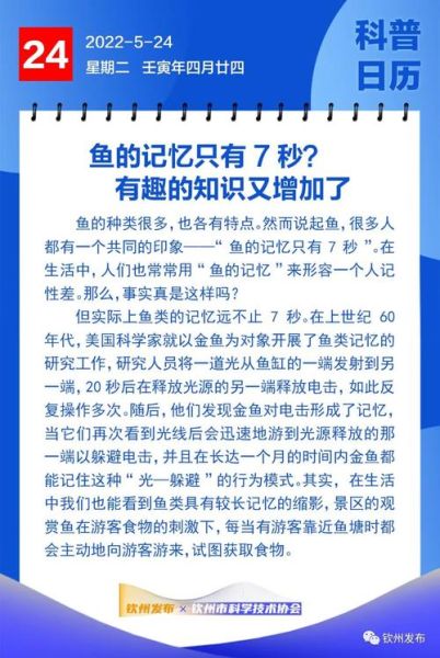 鱼的记忆真的只有七秒吗(那它们怎么还会记得寻找食物呢)