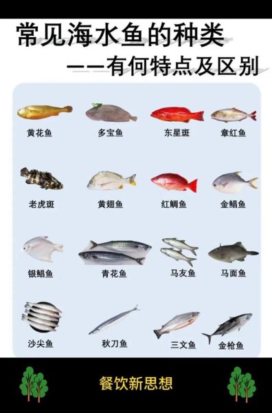 鱼的资料(它们都是怎么分类的)