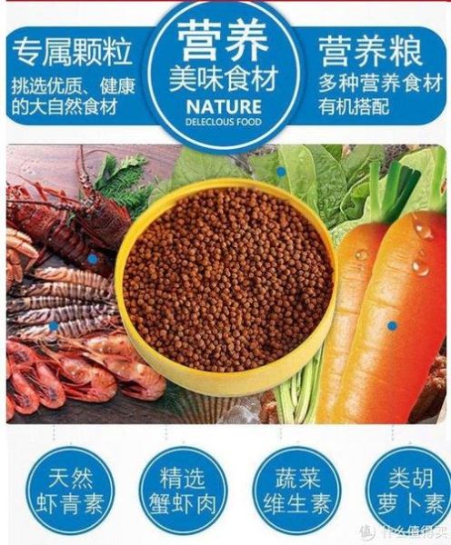 鱼粮( 怎么才能让鱼儿吃得饱又吃得好)