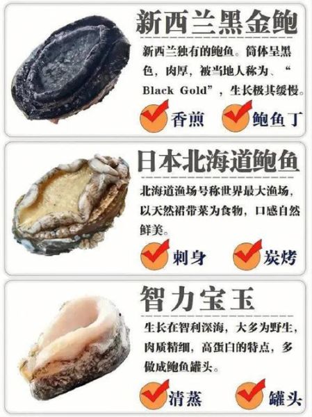 鲍鱼是不是真正的鱼(它和真正的鱼有什么区别)