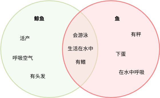 鲸鱼是不是鱼(它们和鱼类有什么本质区别)