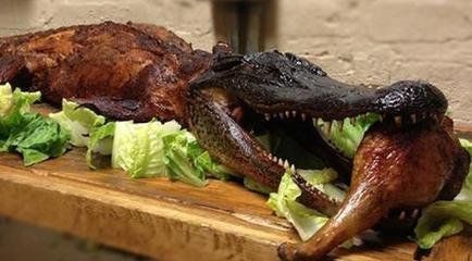 鳄鱼能吃吗(真的能随便吃吗)