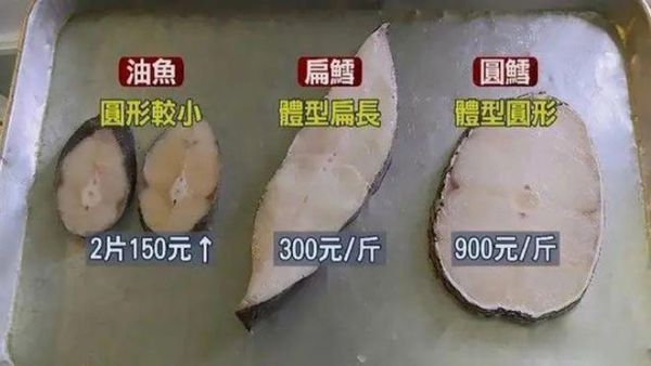 鳕鱼 油鱼(你怎么选才不傻傻分不清)