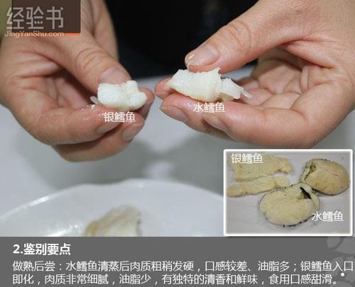 鳕鱼 油鱼(你怎么选才不傻傻分不清)