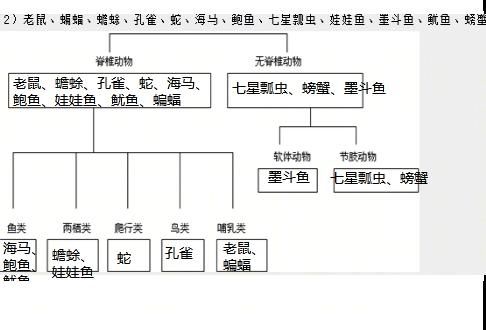 鸟类网(鸟类网为你解答)