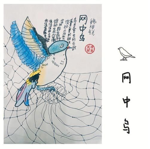 鸟网( 它承载着多少爱鸟人的梦想)