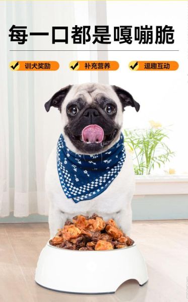 麦顿宠物食品(给它最好的呵护)