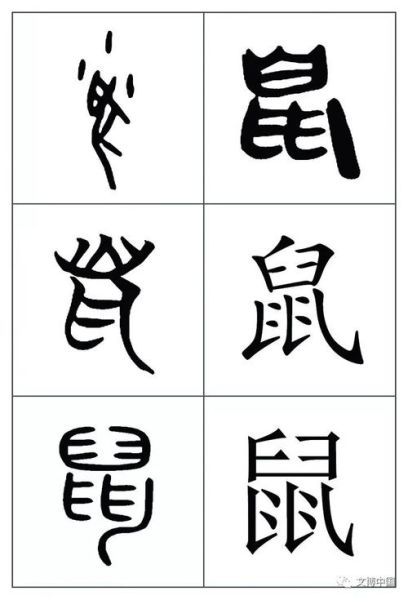 鼠鸟目(它们的演化历程是什么样的)
