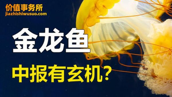 龙鱼价格(价格区间你了解吗)